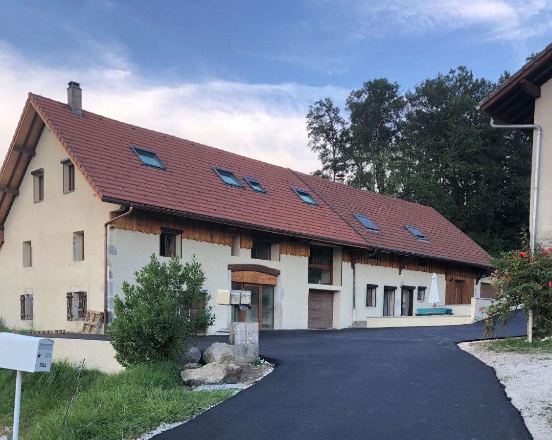 T2 Meuble De 40M2 Axe Annecy/Geneve Lägenhet Saint-Martin-Bellevue Exteriör bild